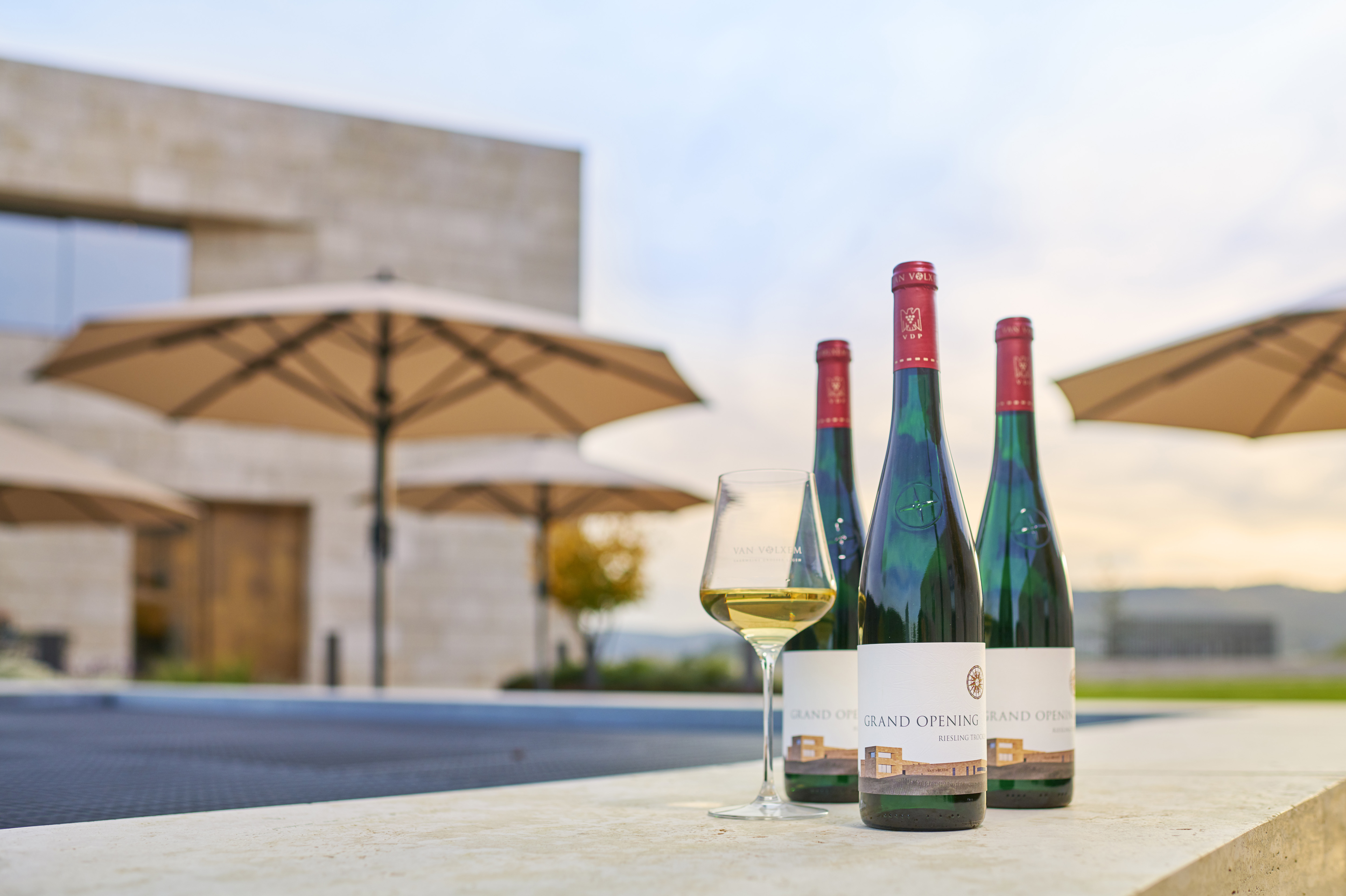 flaschen stilllife 19